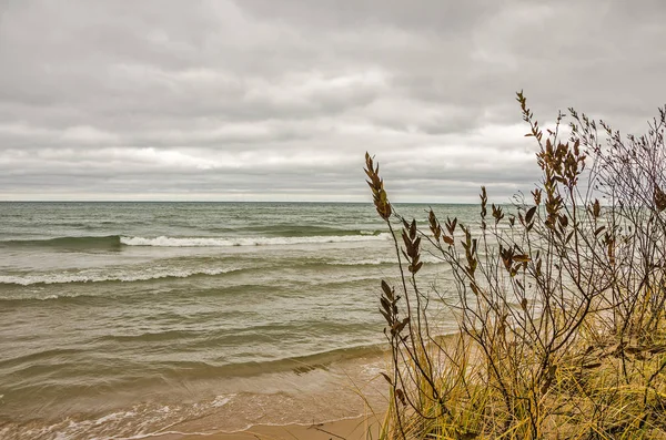 Zwischen Herbstfarben Und Winter Hohe Gräser Von Gelb Und Grün — Stockfoto