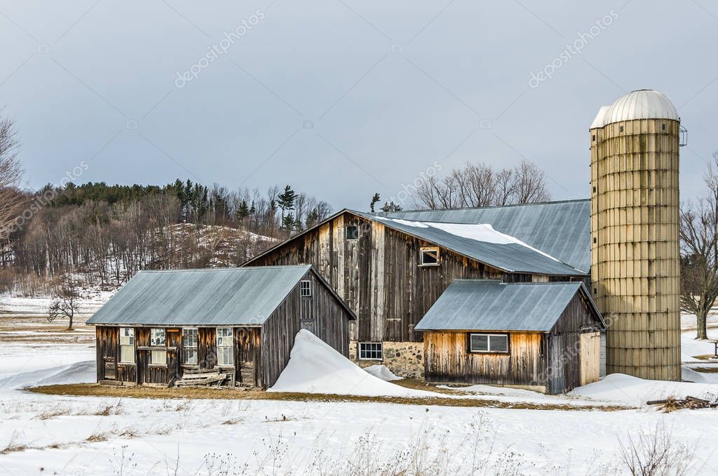 Sunlit Barns and Silos in Winter