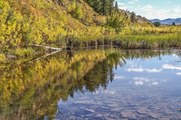 Eau de montagne claire avec reflets — Photo