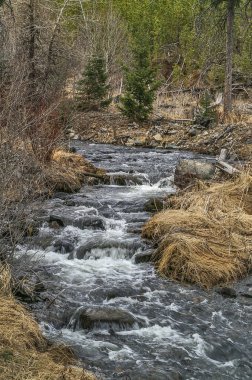 Kayalar Üzerinde Yokuş Aşağı Su Rushing