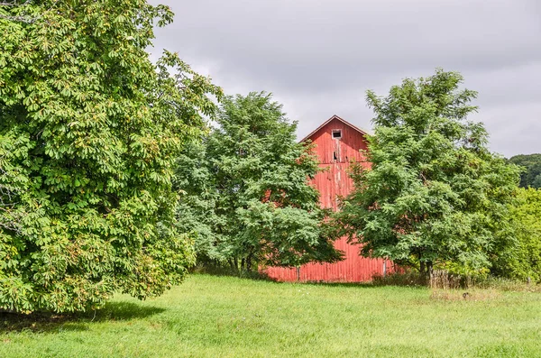 木々に隠れている赤い納屋 — ストック写真