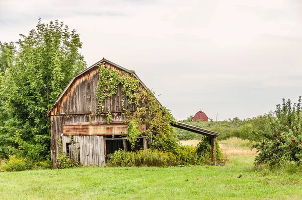 Kleurrijke schuren in een landelijk gebied — Stockfoto