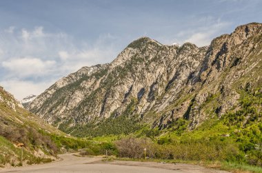 Utah Yüksek Rakımlı Dağlar