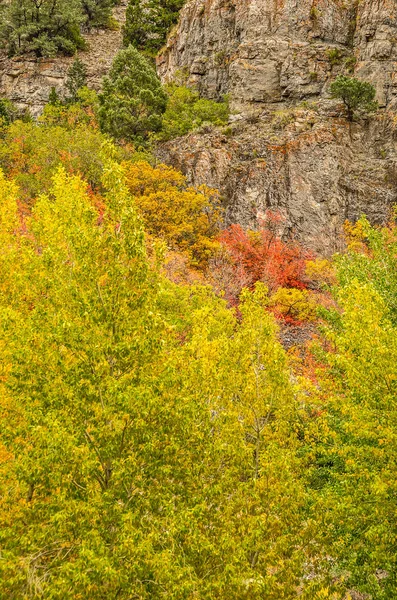 Castelo-como rochas misture com cores da queda — Fotografia de Stock