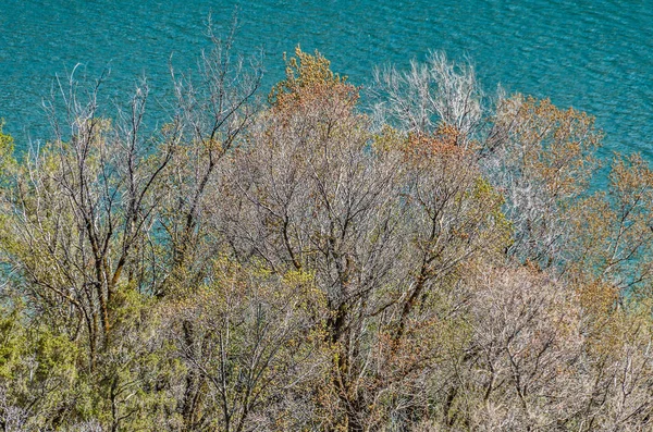 청록색 물은 봄에 대한 멋진 배경을 만든다 — 스톡 사진