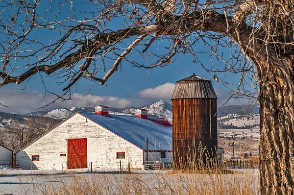 Grande grange blanche avec silo — Photo