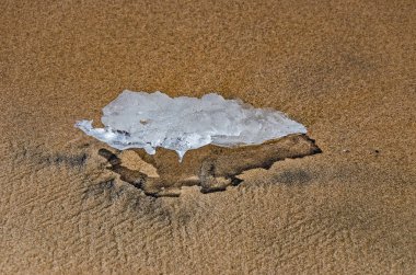 Bir Buz Parçasından Bir Gölgenin Siyah Sınırı