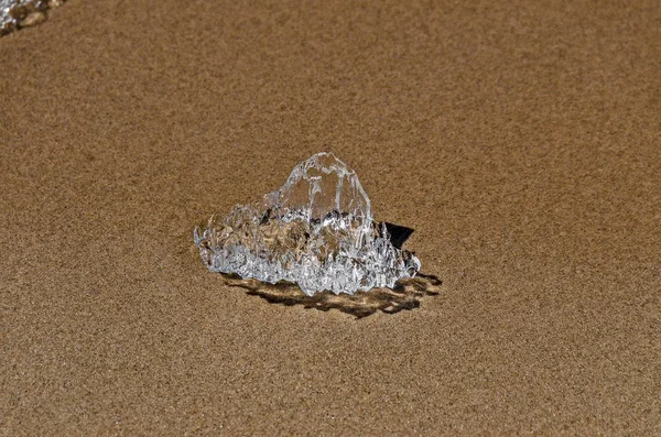 Хрустальный лед на пляже — стоковое фото
