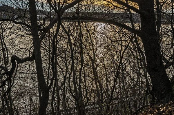 Abstraktní západ slunce na jezeře — Stock fotografie