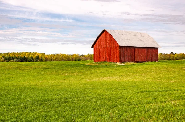 Ljusröd Barn i solljus — Stockfoto