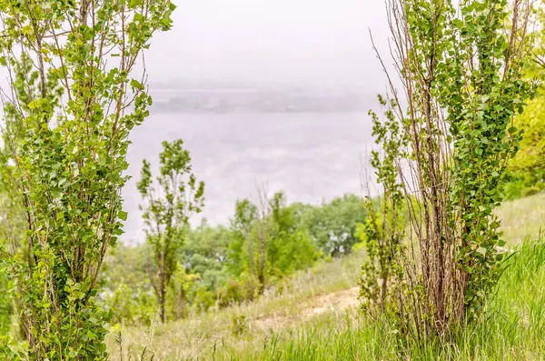 Nebbia e nuvole basse — Foto Stock