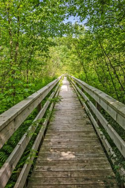 Loda Gölü 'ndeki Boardwalk Köprüsü