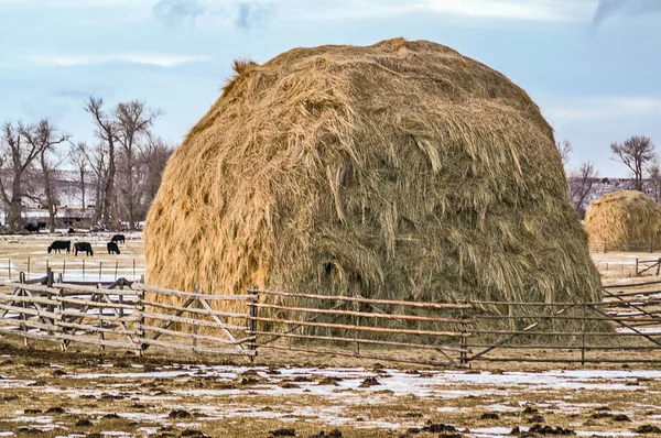 Hay-bergen in Montana — Stockfoto