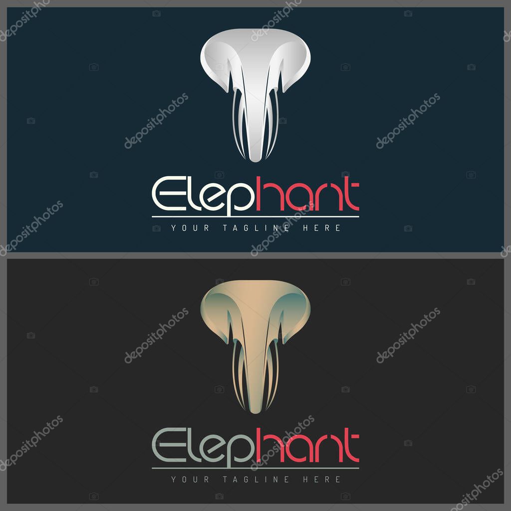 Elephant ivory face head luxury logo set template design