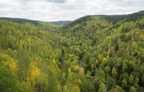 Superscape outono dourado na floresta de montanha e no rio — Fotografia de Stock