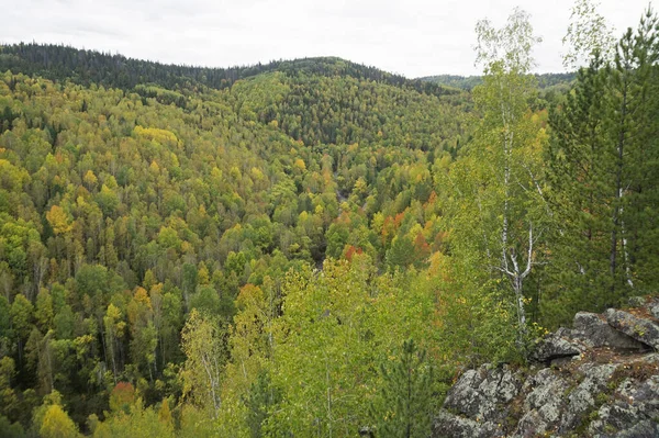 Outono notável cores vermelho-amarelas na floresta — Fotografia de Stock