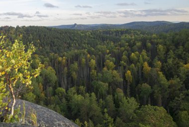 Ormanda olağanüstü sonbahar kırmızı-sarı renkler