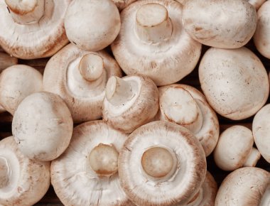 Bütün düğme mantar arka plan