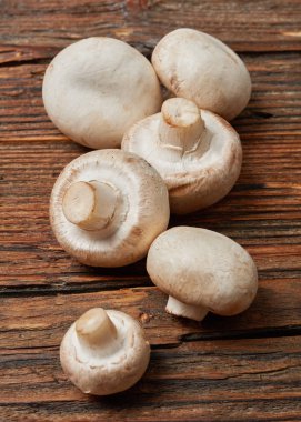 Ahşap üzerine champignon mantar