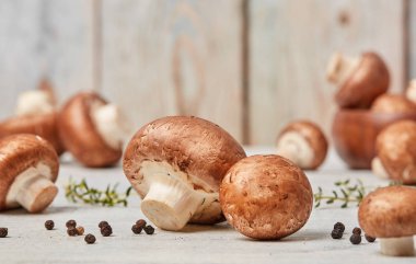 Taze mantar yakın çekim detay