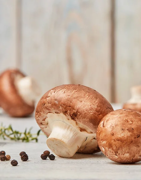 Cogumelos Close Madeira — Fotografia de Stock