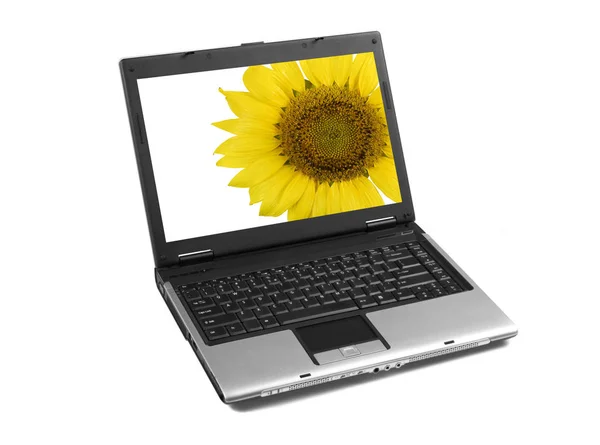 Laptop Com Girassol Isolado — Fotografia de Stock