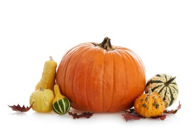 kabak üzerine beyaz izole