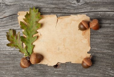 Boş kağıt ve meşe palamutları ahşap üzerine