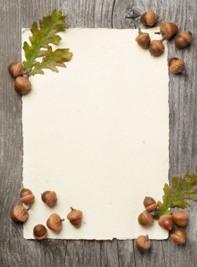 Boş kağıt ve meşe palamutları ahşap üzerine