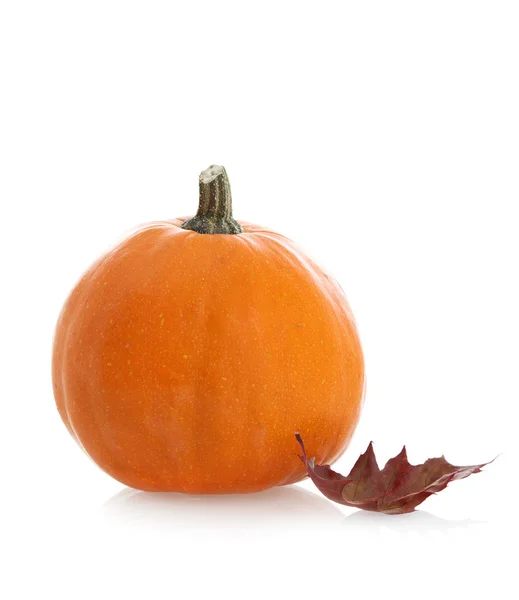 Pumpkin Isolated White — Stock Photo, Image