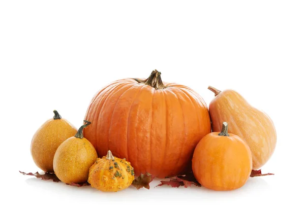 Calabazas Aisladas Blanco —  Fotos de Stock