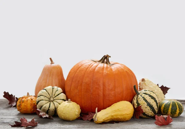 Calabazas Sobre Fondo Madera —  Fotos de Stock