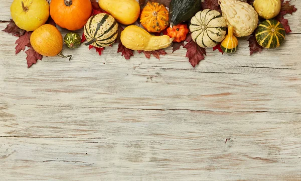 Pumpkins Wood Background — Stock Photo, Image