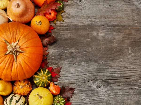 Ahşap arka plan üzerinde kabaklar