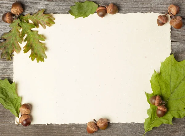 Boş Kağıt Meşe Palamutları Ahşap Üzerine — Stok fotoğraf