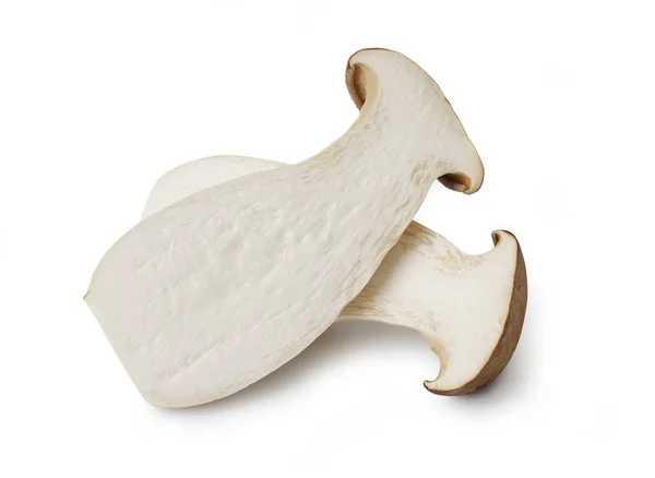 Cogumelo Rei Oyster Isolado Branco — Fotografia de Stock