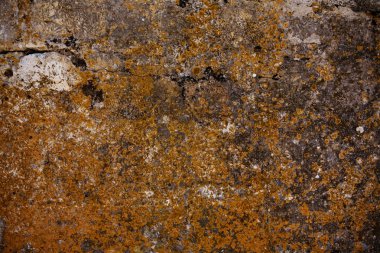 beton duvar dokusu arkaplanı