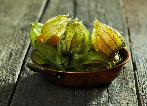 Physalis Buah Kayu — Stok Foto