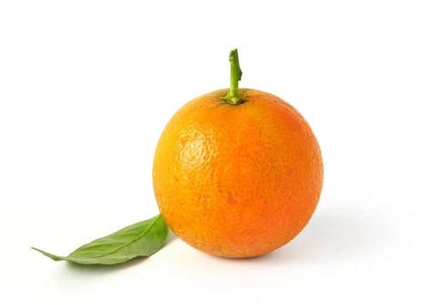 Tangerine Geïsoleerd Wit — Stockfoto