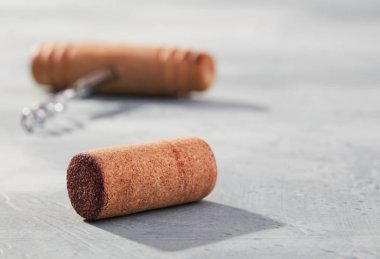 Cork ve mantar vida