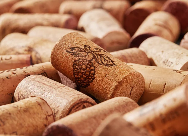 Víno cork closeup — Stock fotografie
