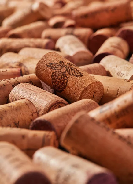 Vin kork stå ut från mängden — Stockfoto