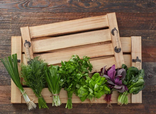 Farmers's market herb leafs — Stock Photo, Image