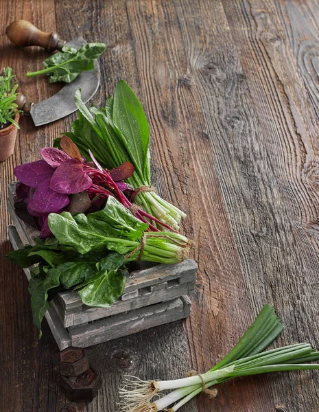 Herbs from above — Stock Photo, Image