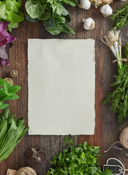 Blank paper and herbs — Stock Photo, Image