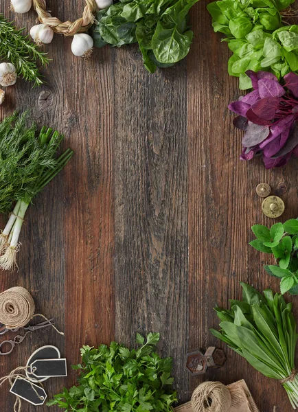 Fresh herbs from above — Stock Photo, Image