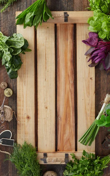 Herbs close-up on wooden tray — Stock Photo, Image