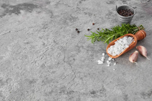 Salt, pepper, rosemary and garlic — Stock Photo, Image