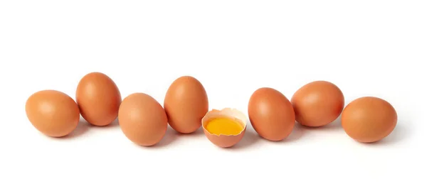 Brune egg – stockfoto