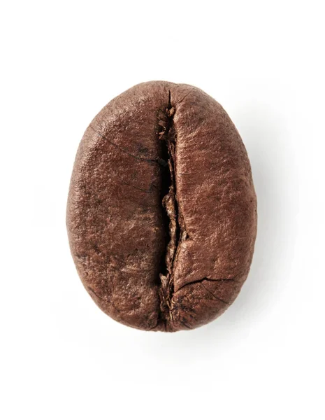 Stock image Coffee bean on white